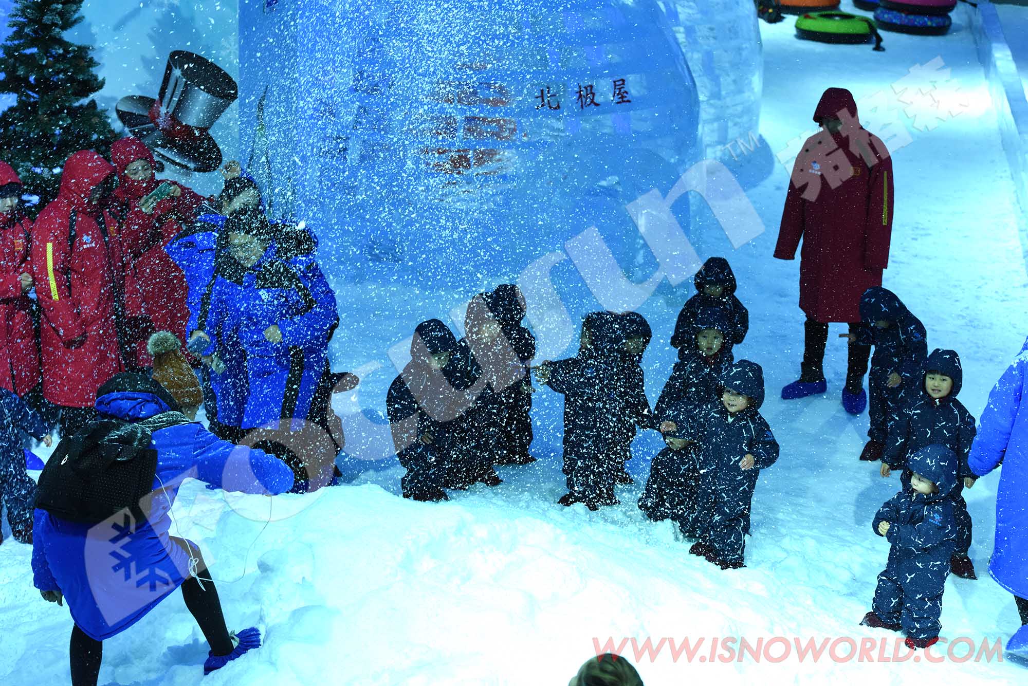 Indoor Snow Park Ice Storage Capacity Other and On-site Installation After-sales Service2