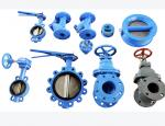 Y-Strainer Carbon Steel Valves For Gate , Butterfly Check Globle Valves