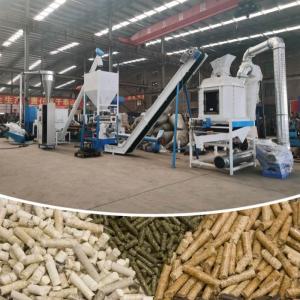China Chicken Cattle Goat Animal Feed Pellet Production Line Ring Die Pellet Mill wholesale