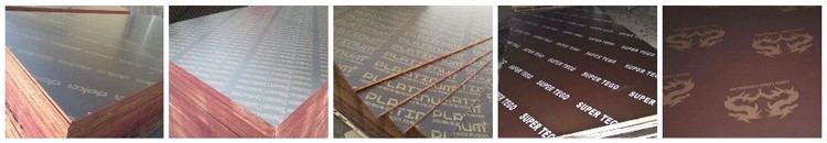 China good quality lower price film faced plywood