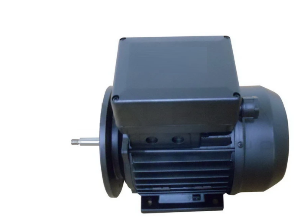 SPA PUMPS MOTOR