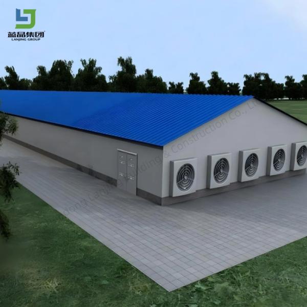 Prefabricated Farm Steel Structure Open Colsed Broiler Poultry Chicken Houses