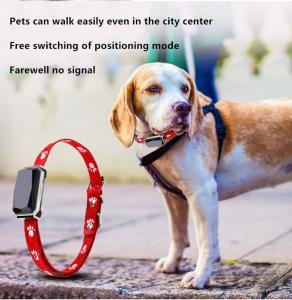 China Beidou Positioning Intelligent 45X45mm PET Training Collars Gps Tracking Collar For Dogs wholesale