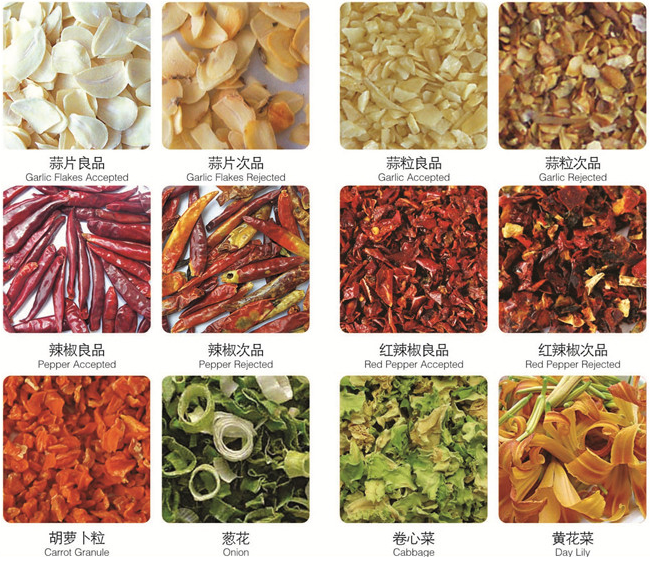 Dehydrated Vegetable CCD Color Sorter With Tri Chromatic CCD Image Acquisition System