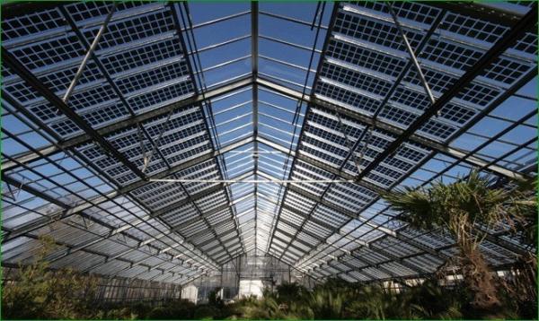 Thermal Insulation Commercial Photovoltaic Greenhouses Customization Option