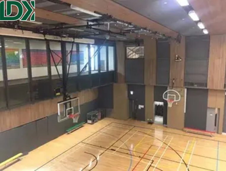Premium Professional Ceiling Mounted Basketball Hoop System From Chinese Manufacturer