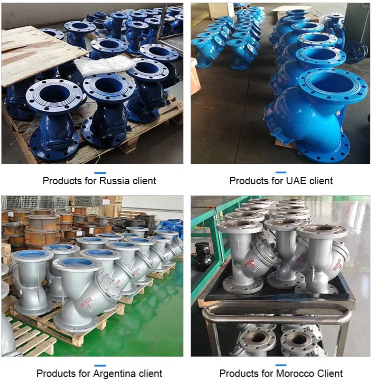 T Type Design Carbon Steel Strainer Customized for Water Filtration Needs and Requirements