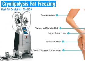 China Cryolipolysis Weight Loss Equipment Slimming Machine on sale