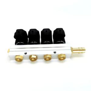 China 2Ohm Autogas Injection LPG Gas Injectors rail LN-ACW04 For CNG Vehicles wholesale