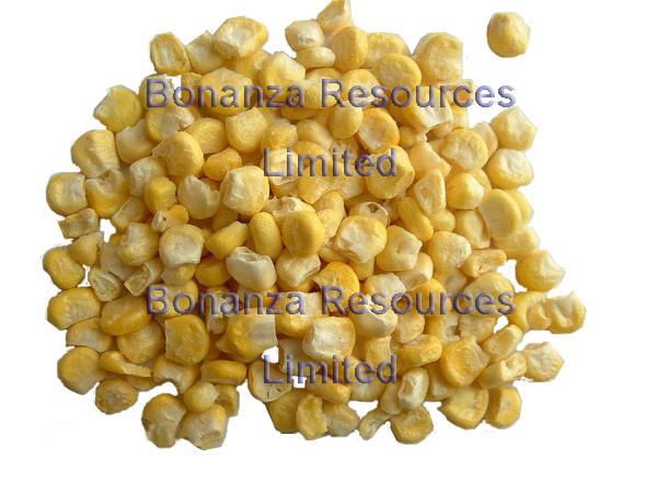 Quality Freeze Dried Sweet Corn Ingredients of Instant Soup Noodles for sale