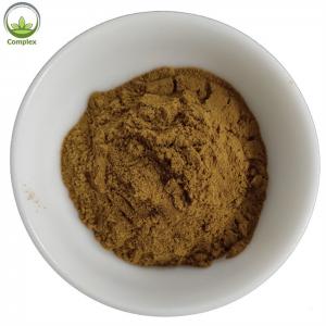China Pure Natural Organic Export Dry Brown Yellow Oyster Mushroom Powder wholesale