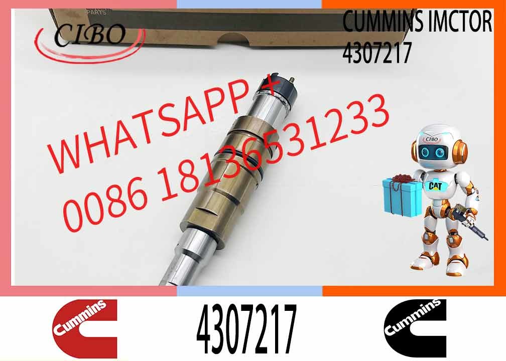 ISX QSX 5579423 4307217 Diesel Engine Parts Fuel Injector Repair Kit 5579423 4307217