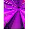 Buy cheap Smart Grow Hydroponic Vertical Farming System Shipping Container Farm Greenhouse from wholesalers