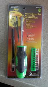 China 12 pcs screwdriver set,with 1 pc flexible shaft on sale
