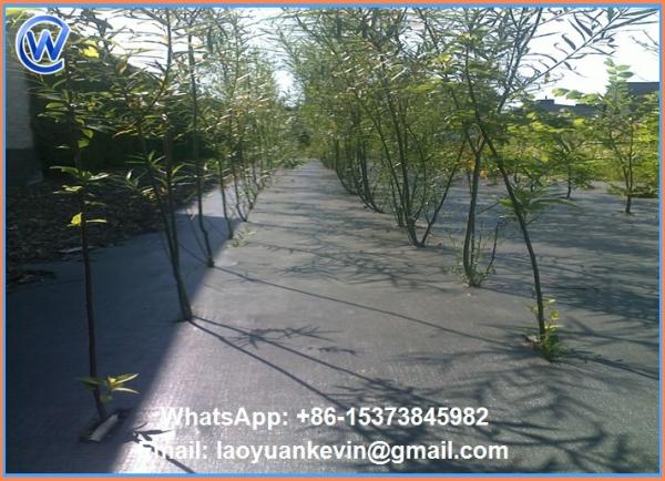 Ground Cover Net Commercial Grade 880 Sq Ft Roll Landscape & Erosion Control Fabric
