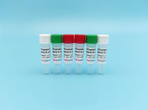 China OverExpress C43 Competent E. Coli 48/96 Tests/Kit For PET Series PGEX PMAL Proteins wholesale