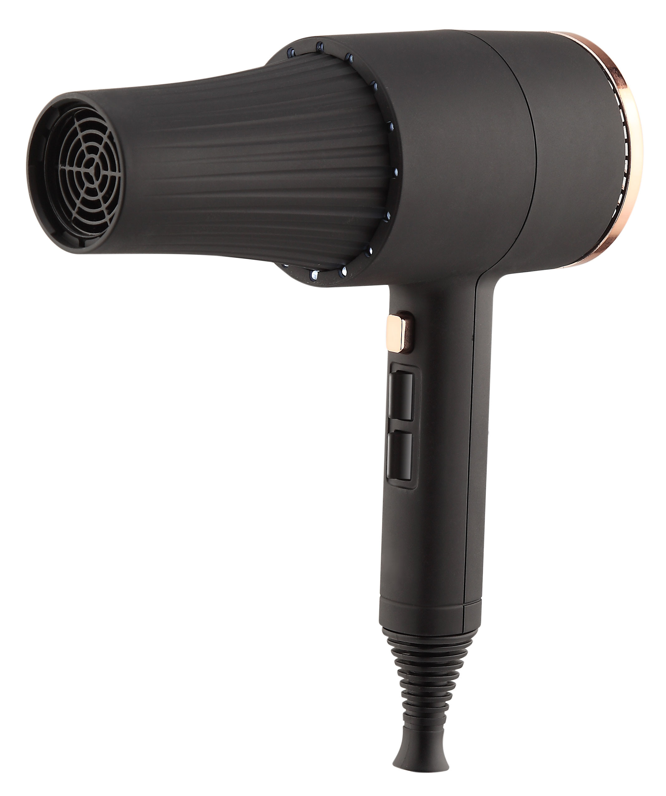 ODM Electric Plastic Hair Salon Blow Dryer With Ionic Function