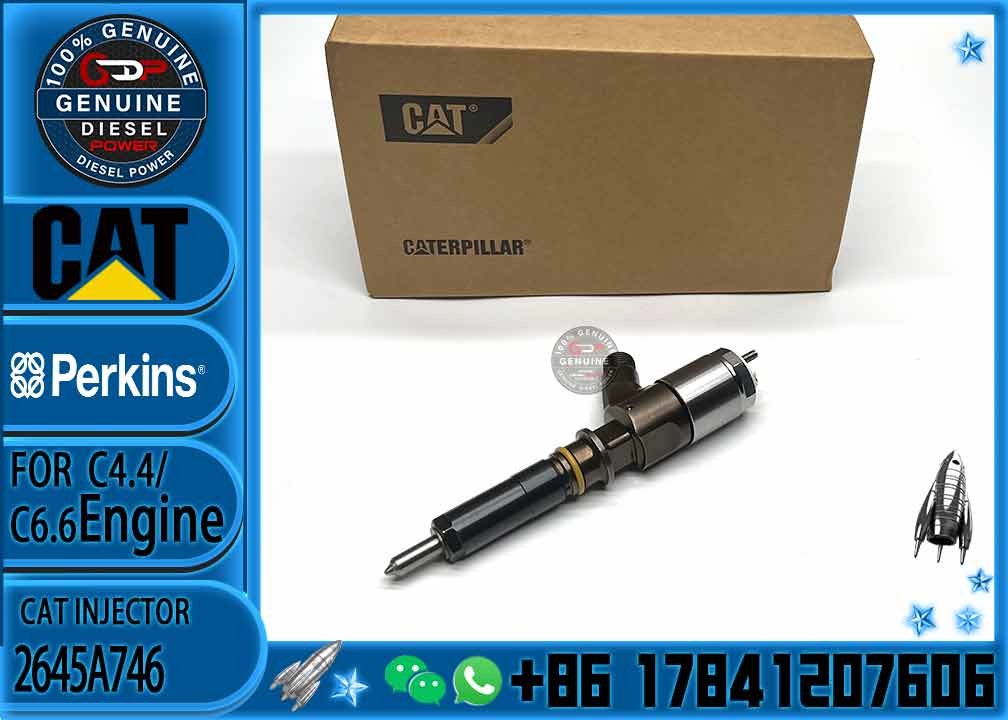 Diesel Common Rail Injector 2645A746 10R-7672 2645A718 10R-7673 10R-7676 2645A734 10R-7674 10R-7668 10R-7938 10R-7939