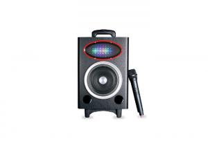China Wedding Events Outdoor Waterproof Speakers , Audio Player Speaker With Wireless Mic wholesale