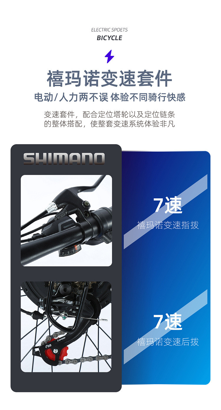 ELECTRIC NEW ELECTRIC BIKE MOUNTAIN BIKE ADULT RETRO OFF-ROAD VARIABLE SPEED BOOSTER ELECTRIC BIKE