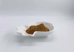 China Ganoderma Lucidum Shell broken Rate 98% Spore Powder wholesale