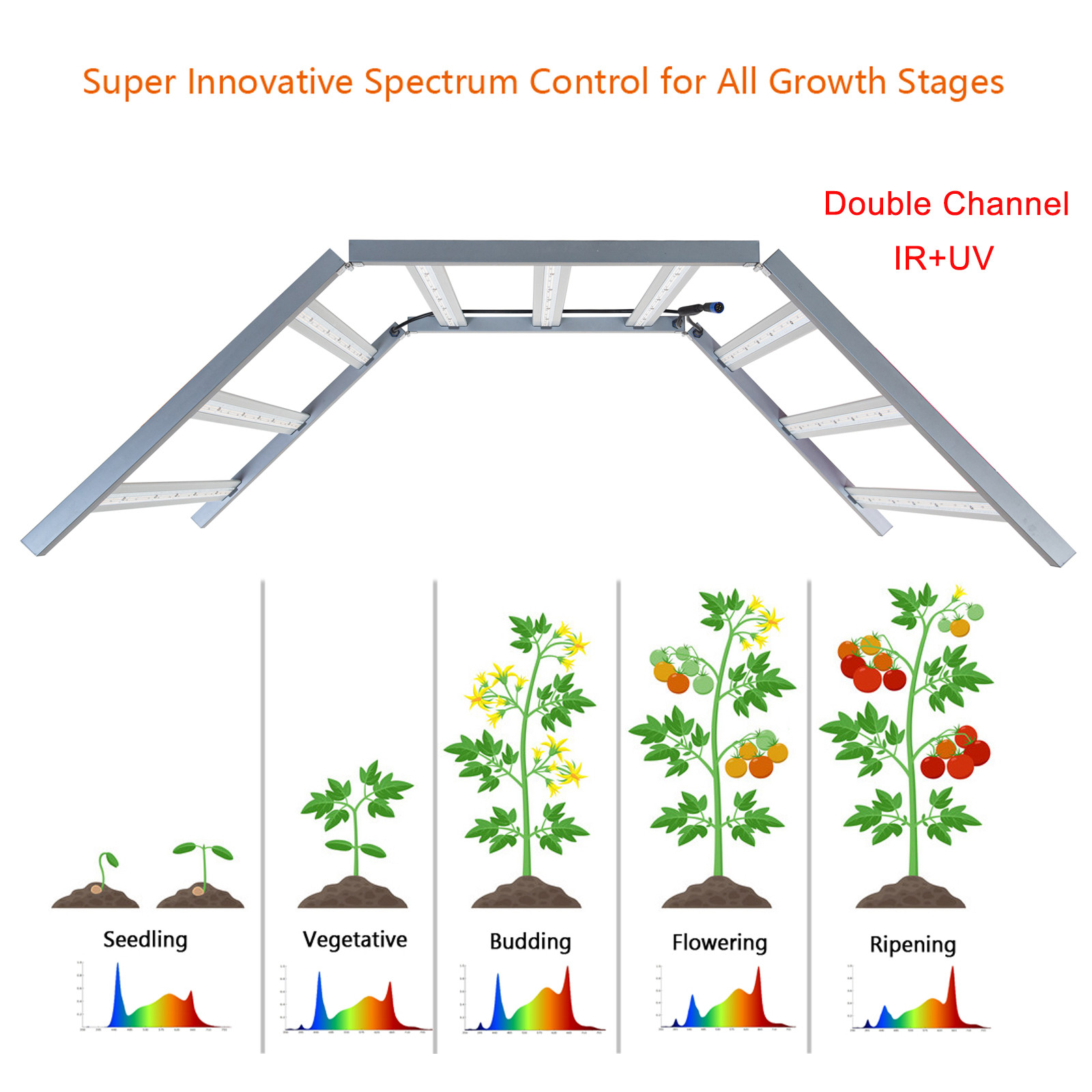 Dimmable Full Spectrum LED Grow Lights 2.95umol/J Low Heat High PPF Output