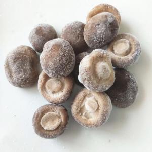 China IQF Frozen Shiitake Mushroom Whole, blanched wholesale