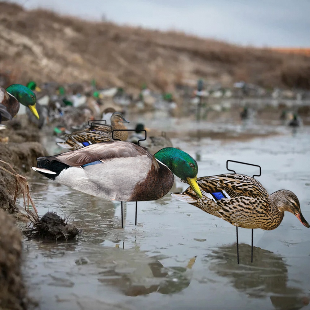 Silhouette Mallard Drake Hen Hunting Decoy 43x26CM 45x22CM 48x18CM Light Weight