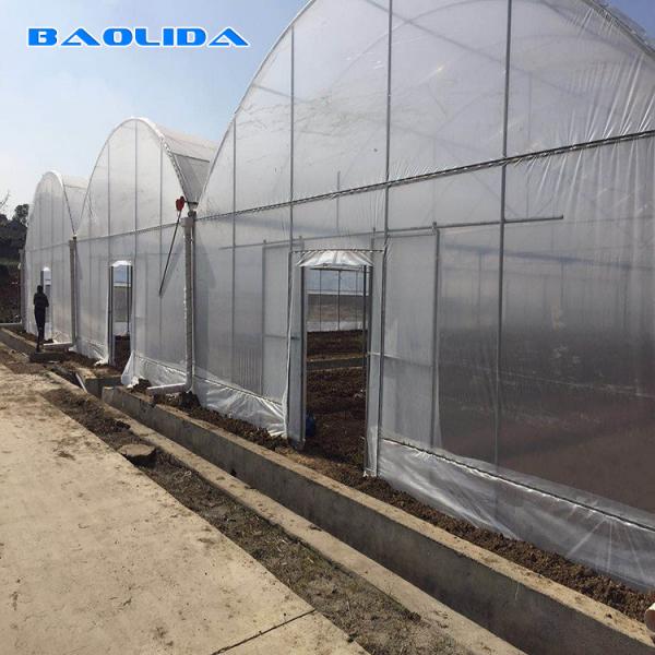 Steel Structure Polythene Tunnel 4 Mil Plastic Sheeting Greenhouse