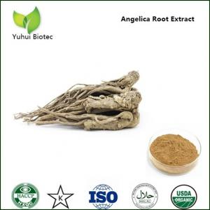 China Dong Quai extract, Dong Quai extract powder, Angelica P.E.,Angelica sinensis root extract wholesale