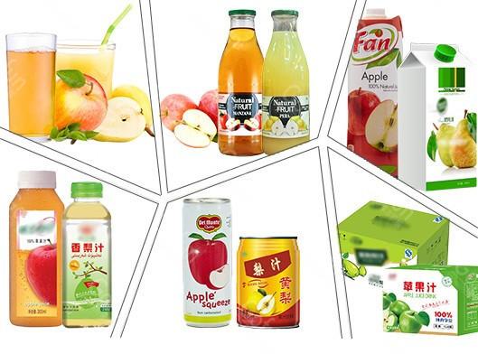 SS304 / 316 Apple Juice Processing Machine 10 - 50T/D