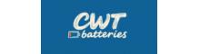 China China World Technology Battery Service Group logo