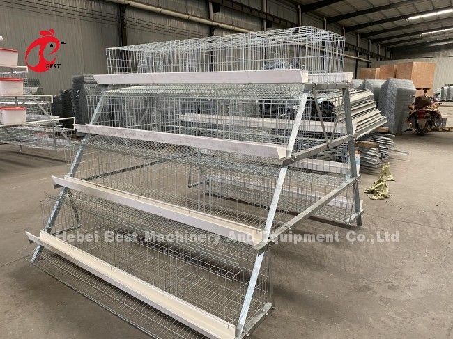 Feeding Trough Of Chicken Poultry Farming Cage System In Nigeria Ghana Zambia Cameroon Farm Doris