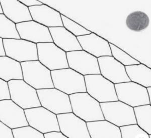 China Galvanized hexagonal wire netting Iron wire mesh wholesale