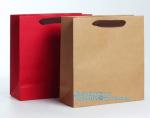 Luxury Carrier Paper Bag With Handles White Card Paper White Kraft Paper