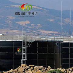 China UASB Anaerobic Reactor Up Flow Anaerobic Sludge Blanket Reactor wholesale