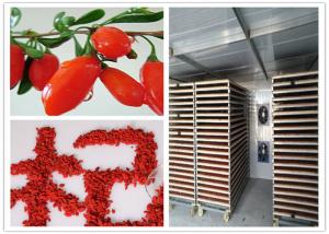 China CE Industrial Goji Hot Air Blower Dryer Wolfberry Cabinet Drying Machine wholesale
