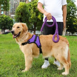 China Waterproof Heavy Duty Retractable Dog Lead For Big Dogs Nylon wholesale