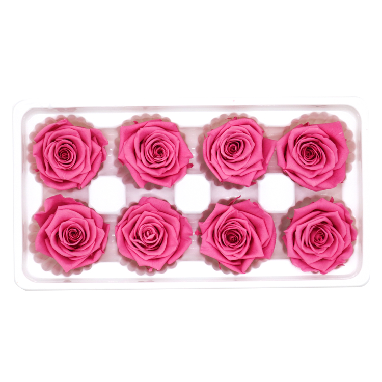 DIY Pink Preserved Rose Heads Pretty Appearance Keeping Everlasting Memory