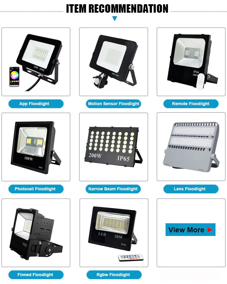 Waterproof Driver Motion Sensor Led Flood Light PIR 110lm/W 30W