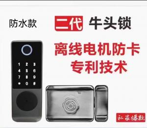 China Smart Door Lock Bull lock Stainless steel door lock wholesale