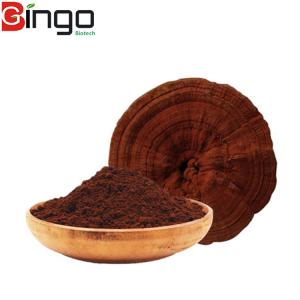 China Natural Organic Food Grade Reishi Mushroom Extract Powder Delay Aging wholesale