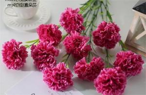 China ODM Fake Holiday Flowers Artificial Carnation Bouquet wholesale