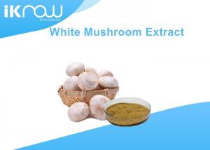 China Double Spore Agaricus Bisporus Powder / White Button Mushroom Extract wholesale