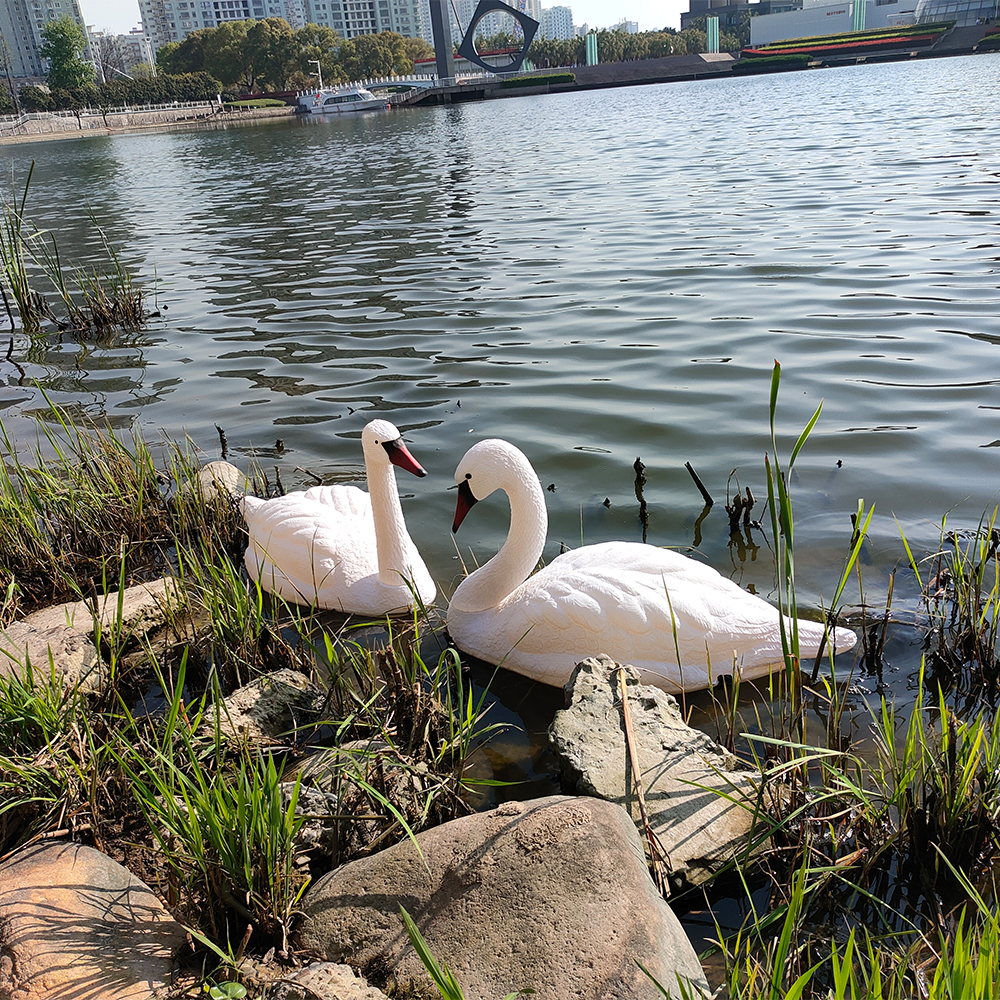 Rester Body Style Hunting Decoy Lifelike Plastic Life Size Swan Decoy for Geese Hunting
