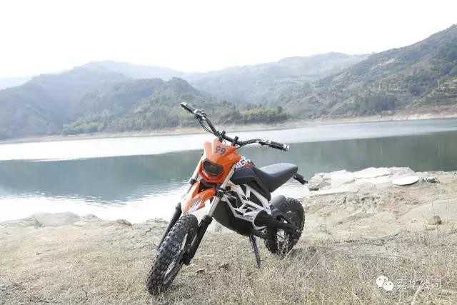 Sports Style Two Wheeled Electric Bike Scooter 41km/h 48V 800W