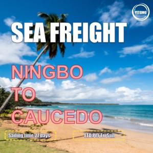 China 27 Days Sea Freight Shipping Agency From Ningbo To Caucedo Dominican Republic wholesale