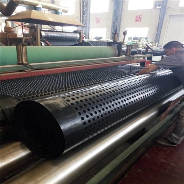 high Quality Drainage Board, grass drainage mat, HDPE PP drainage board sheet with geotextile