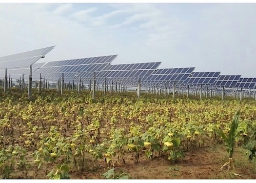 6 Inches Worm Gear Solar Slew Drive 50Mn For PV Solar Tracking System