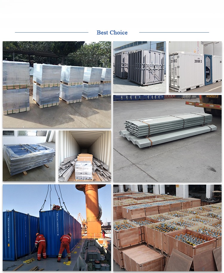 20ft DNV 2.7-1 Standard Dual Temperature Offshore Reefer Container Frozen Fresh 2 Rooms Main Circuit 3 Phase Competitive